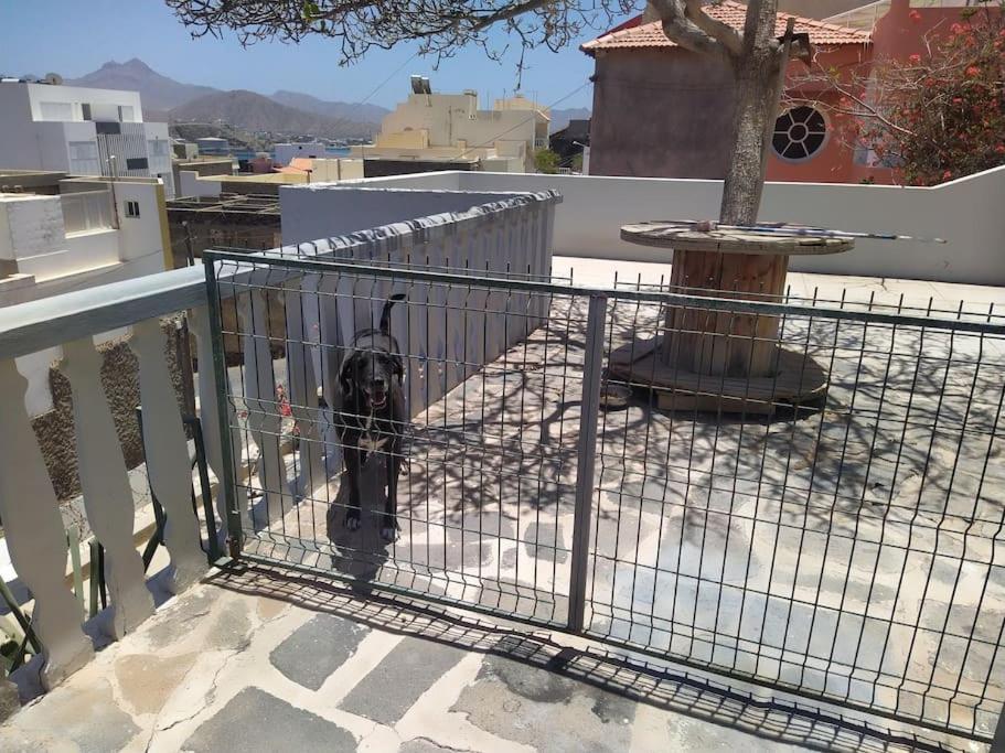 Vivenda Com Patio, No Coracao Do Mindelo Villa Dış mekan fotoğraf